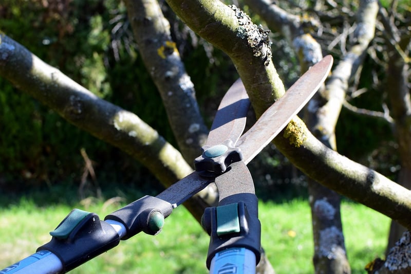 Pruning for Growth