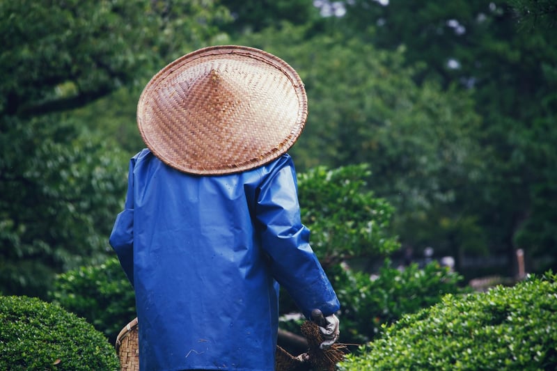Mindful Gardening