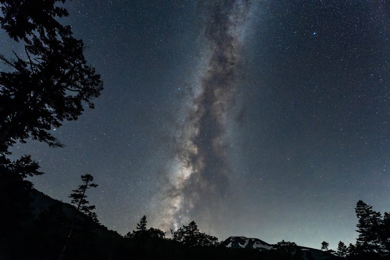Starry Night Garden
